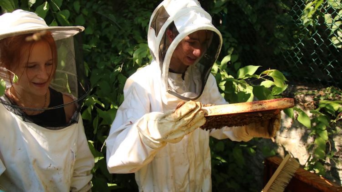 Formation ingénieur ISARA