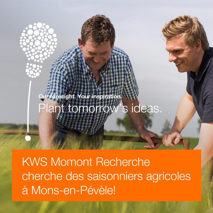 Affiche de promotion de travaux saisonniers