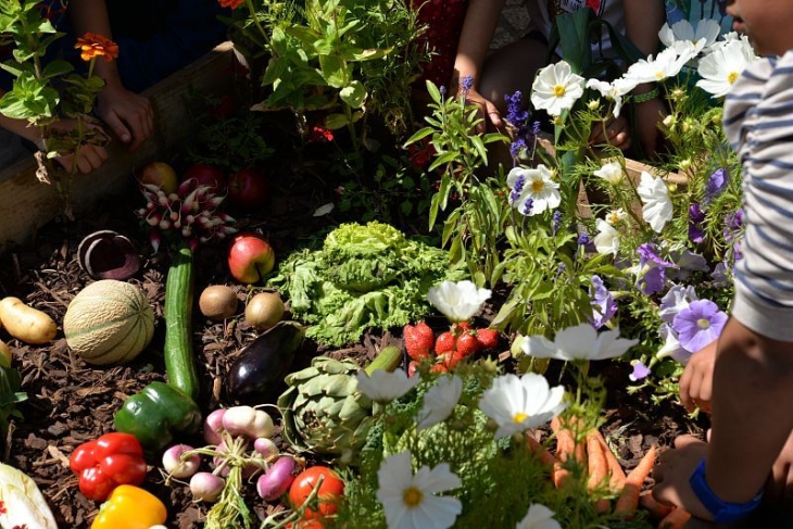 Quimper Bretagne Occidentale lance son Projet Alimentaire Territorial