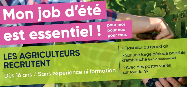 Jobs d'été en agriculture