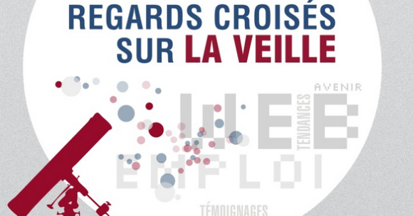 Ebook : Regards croisés sur la veille