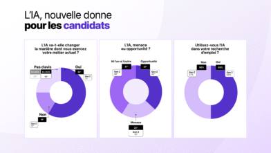 Hellowork infographie IA candidats