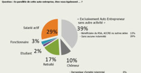 Les auto-entrepreneurs précaires mais « satisfaits »