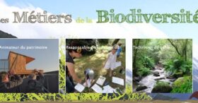 Paysage et biodiversité : des opportunités à saisir
