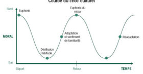 Un guide gratuit sur le Volontariat International