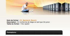 Télécharger le CV Megaupload de Bertrand Rocchi