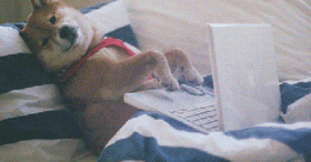 Un Tumblr pour recruter un stagiaire réseaux sociaux