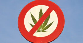 Dépistage du cannabis à l’embauche : est-ce légal ?