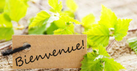 Ouvrir une chambre d’hôtes, bon plan ou galère ?