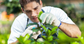 Jobs d’été : des expériences enrichissantes