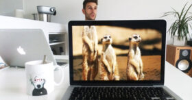 Office Safari : c’est la jungle dans l’open space