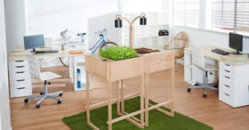 Ciel mon radis : un potager dans l’open space