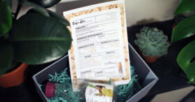 Elle met son CV en bouteille pour décrocher un stage chez Innocent