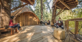 Microsoft propose des cabanes dans les arbres à ses salariés