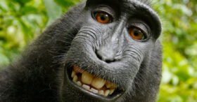 Blue monday : nos astuces pour retrouver le sourire tout de suite  !
