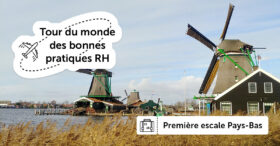Pays-Bas : le SCRUM en cascade, un brief quotidien pour fluidifier la communication