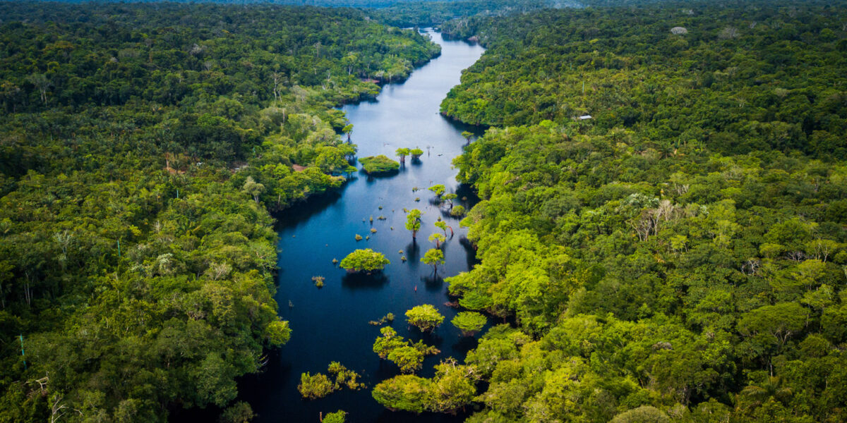 fleuve Amazone