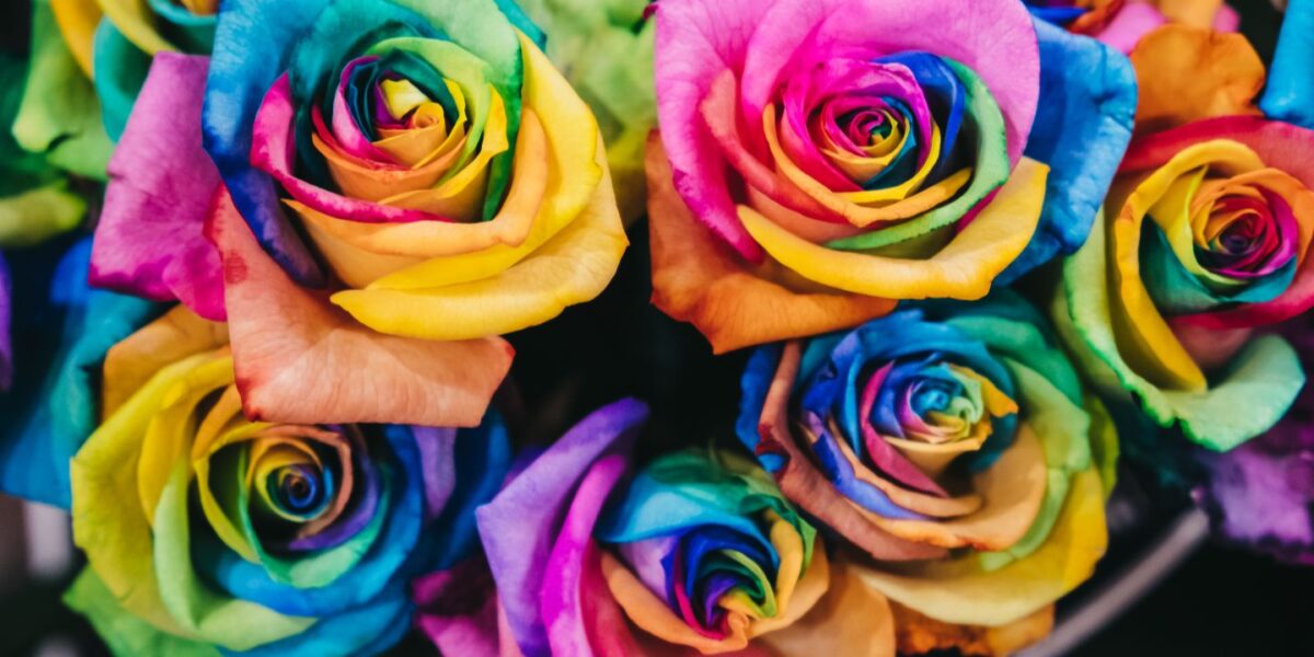 Quel est le cadre de travail le plus sécurisant pour les personnes LGBT+ ?