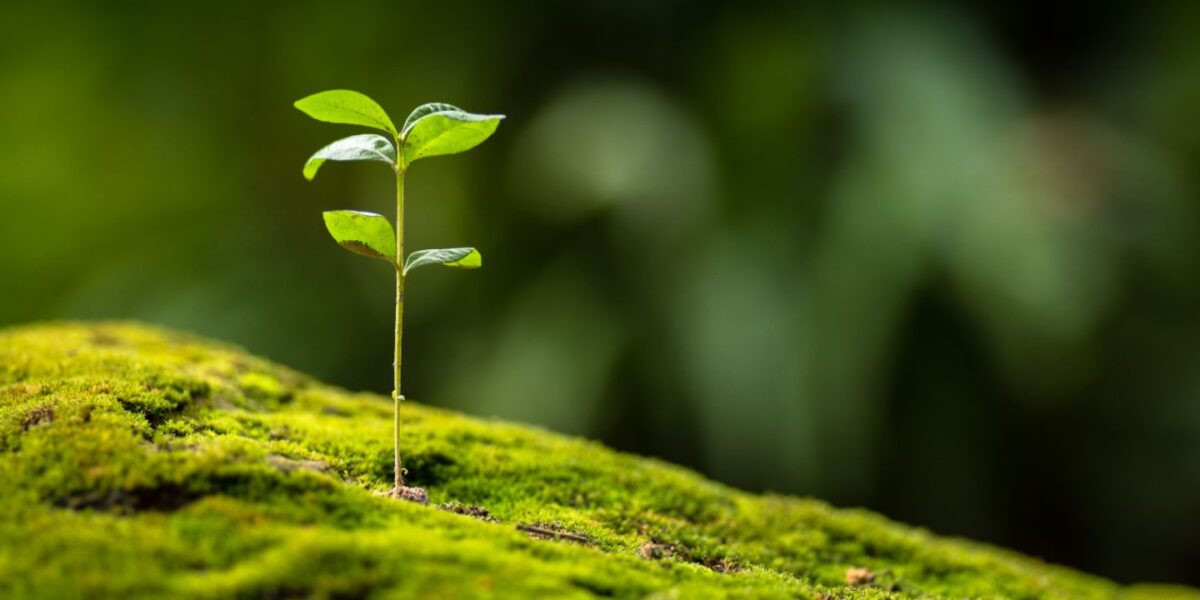 La transformation écologique est au menu 2023 de nombreuses entreprises.