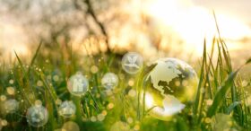 Le greenhushing, ou la mauvaise réponse au greenwashing