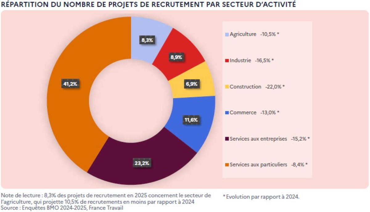 Le secteur des services concentre 6 projets de recrutement sur 10 en 2025.