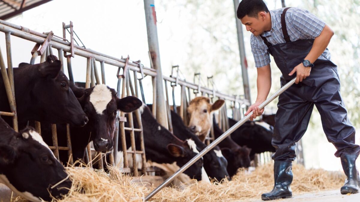 Les agriculteurs salariés figurent sur la liste des métiers en tension de toutes les régions.