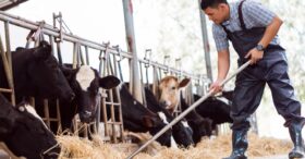 La nouvelle liste des métiers en tension enfin publiée