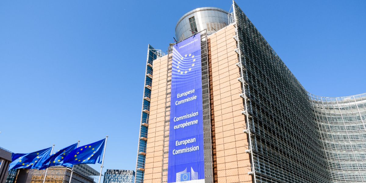 report application IA Act