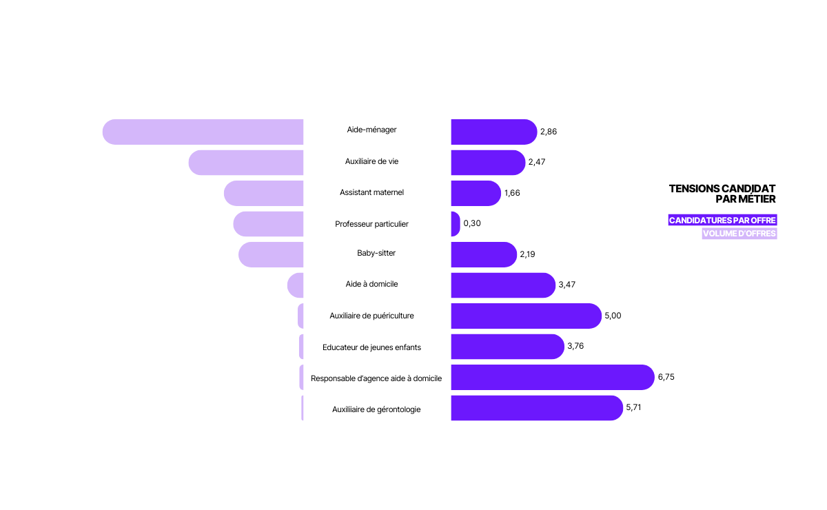 services à la personne data