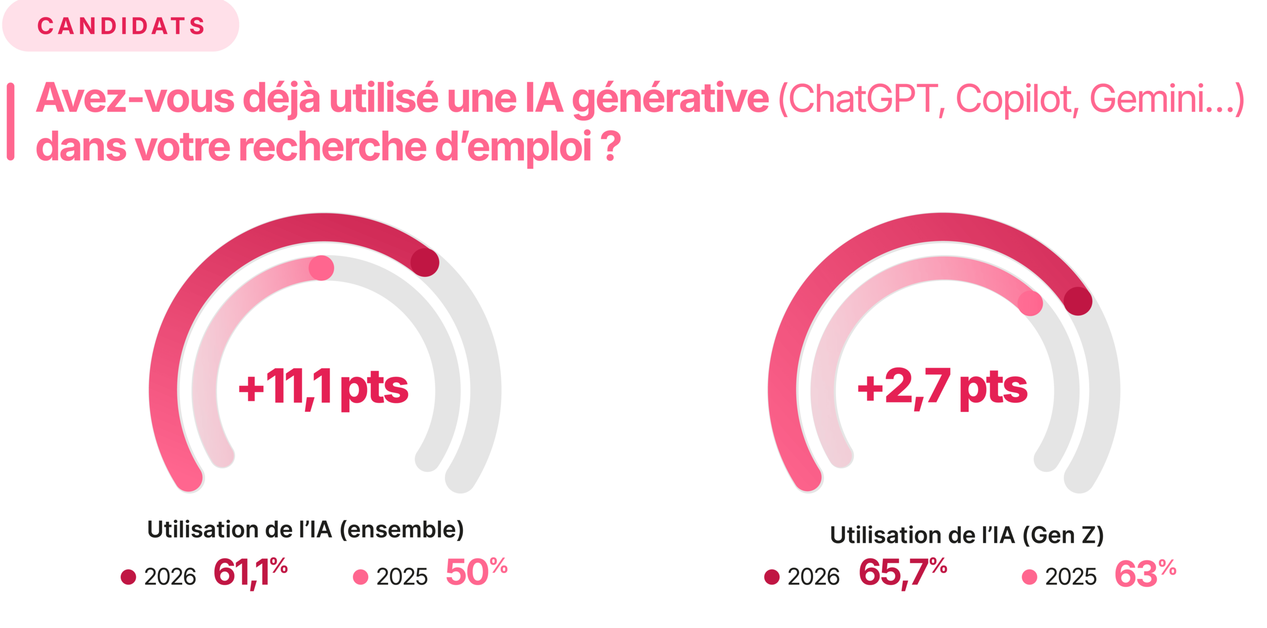 enquête usage IA candidat