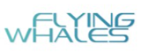 Recrutement Flying Whales