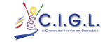Emploi Les Chemins de l'Insertion des Grands Lacs - CIGL Recrutement Les Chemins de l'Insertion des Grands Lacs - CIGL