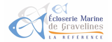 Recrutement ECLOSERIES MARINE DE GRAVELINES