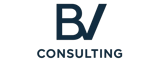 BV CONSULTING recrutement