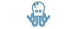 Octopus IT Recrutement