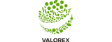 Valorex Recrutement