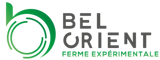 Bel Orient Recrutement