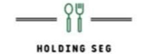 Holding Seg Recrutement