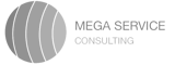 Mega Service Consulting recrutement