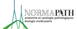 NormaPath recrutement