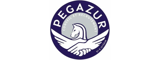 PEGAZUR by B Interim Recrutement