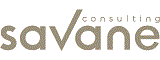 Savane Consulting Recrutement