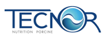 Tecnor recrutement