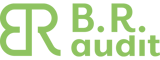 BR Audit recrutement