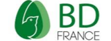 BD France Recrutement