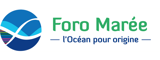 FORO MAREE Recrutement