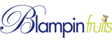 Recrutement BLAMPIN