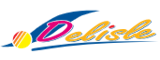 Recrutement DELISLE SAS