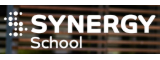 SYNERGY SCHOOL recrutement