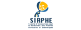 Scea Sirphe recrutement
